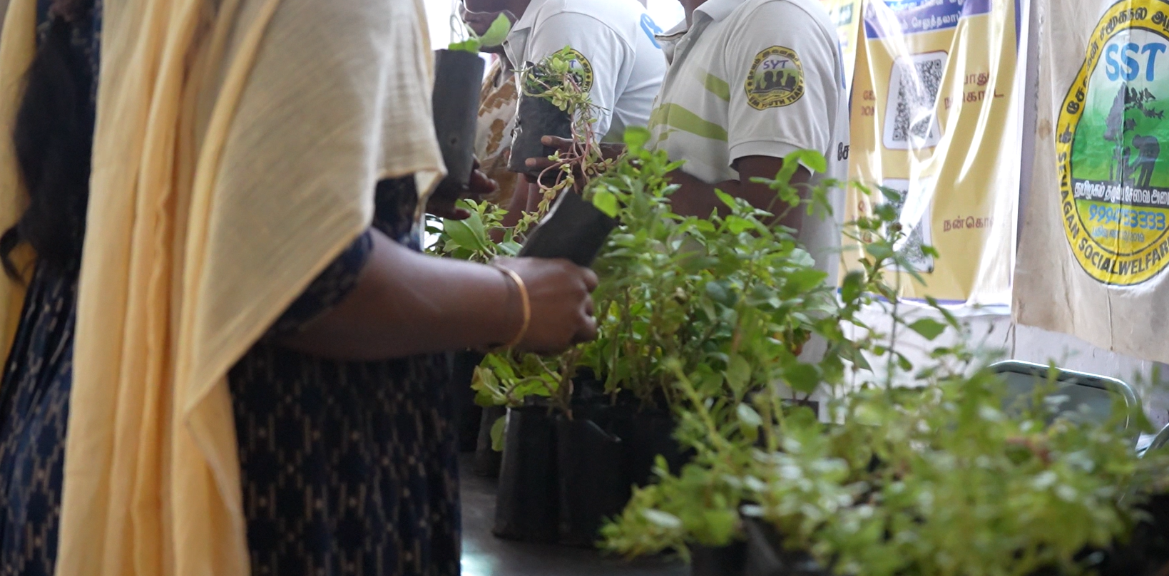 Tree Plantation Ceremony